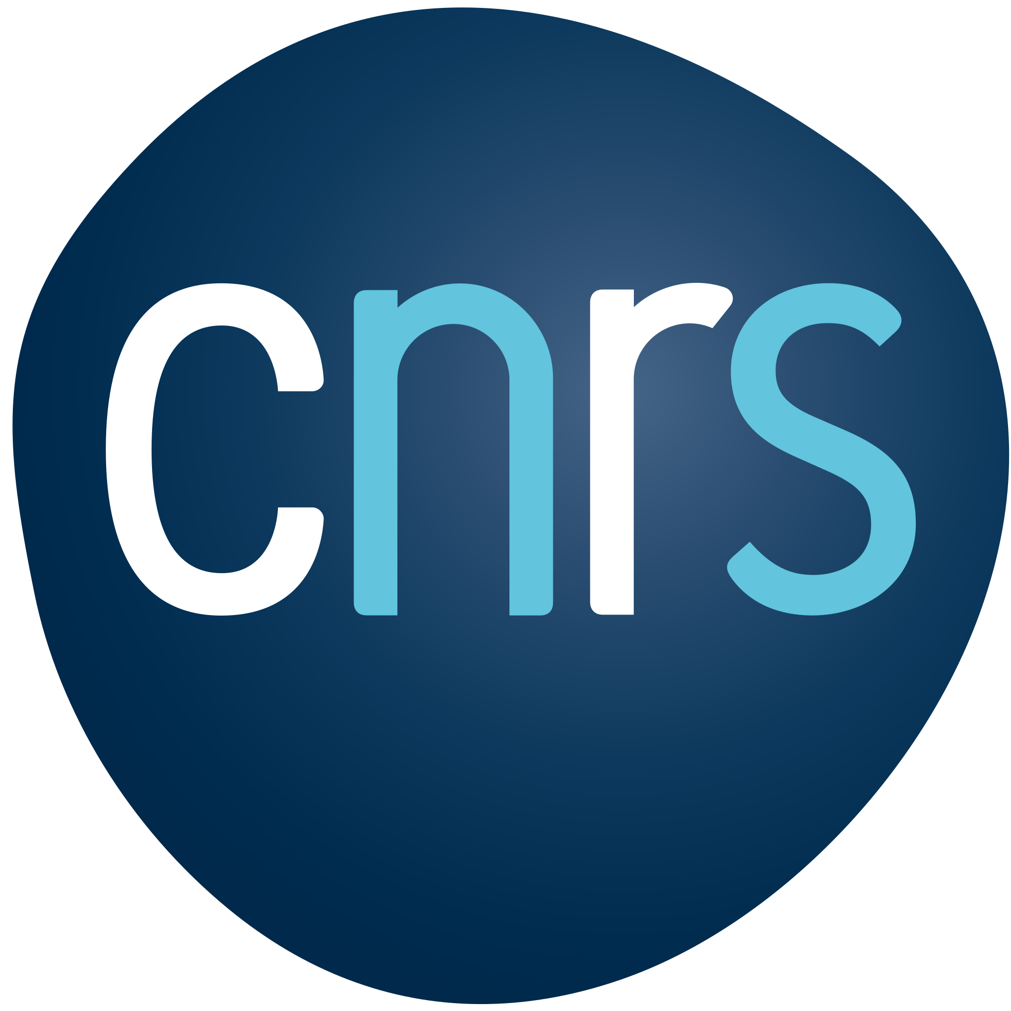Data Analyst/Data Scientist - Stagiaire